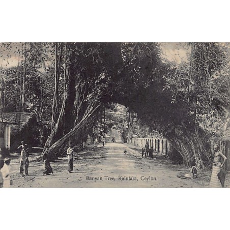 Rare collectable postcards of SRI LANKA. Vintage Postcards of SRI LANKA