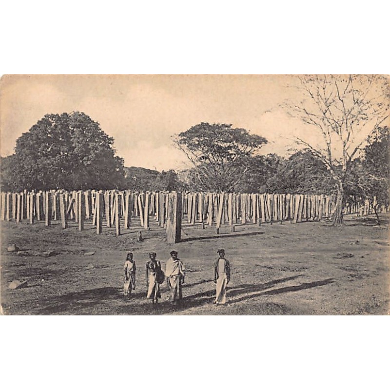 Rare collectable postcards of SRI LANKA. Vintage Postcards of SRI LANKA