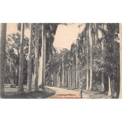 Rare collectable postcards of SRI LANKA. Vintage Postcards of SRI LANKA