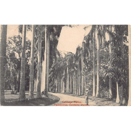 Rare collectable postcards of SRI LANKA. Vintage Postcards of SRI LANKA