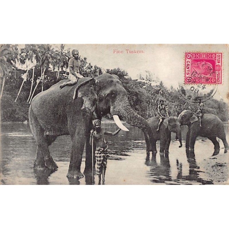 Rare collectable postcards of SRI LANKA. Vintage Postcards of SRI LANKA