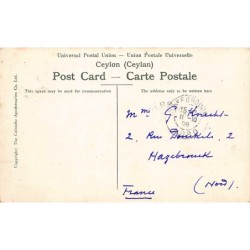 Rare collectable postcards of SRI LANKA. Vintage Postcards of SRI LANKA