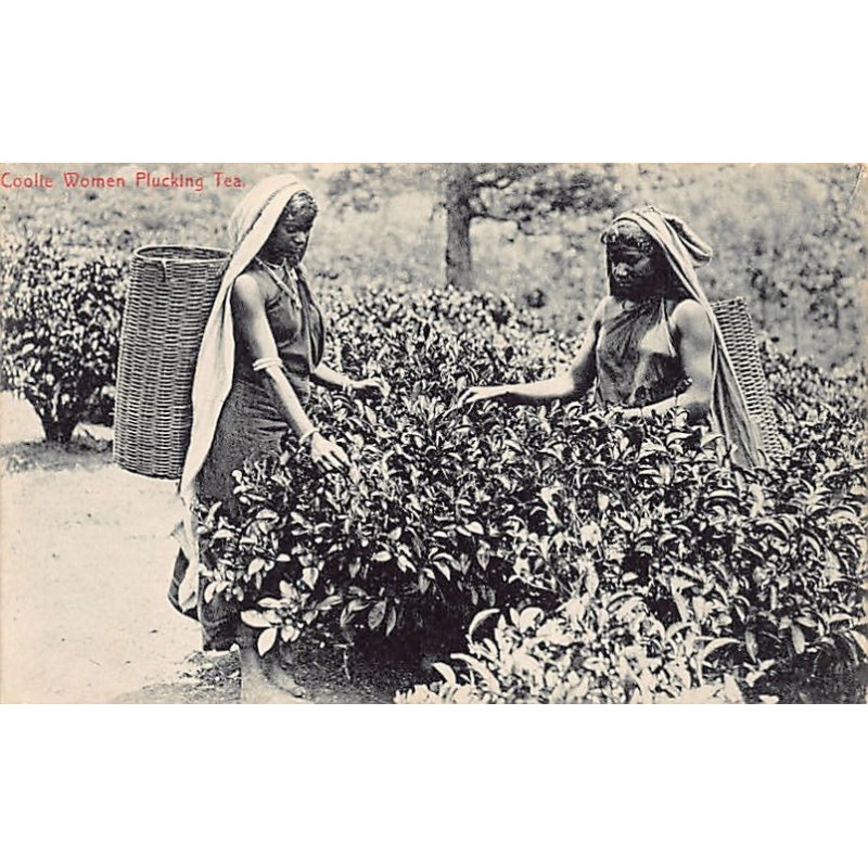 Rare collectable postcards of SRI LANKA. Vintage Postcards of SRI LANKA