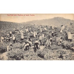 Rare collectable postcards of SRI LANKA. Vintage Postcards of SRI LANKA