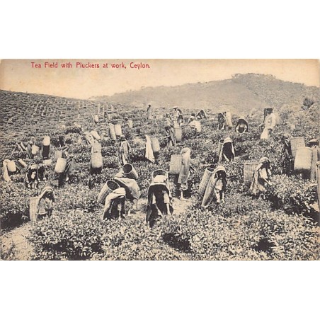 Rare collectable postcards of SRI LANKA. Vintage Postcards of SRI LANKA