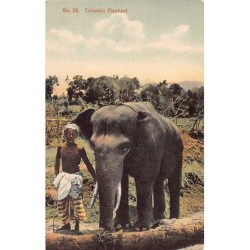 Rare collectable postcards of SRI LANKA. Vintage Postcards of SRI LANKA