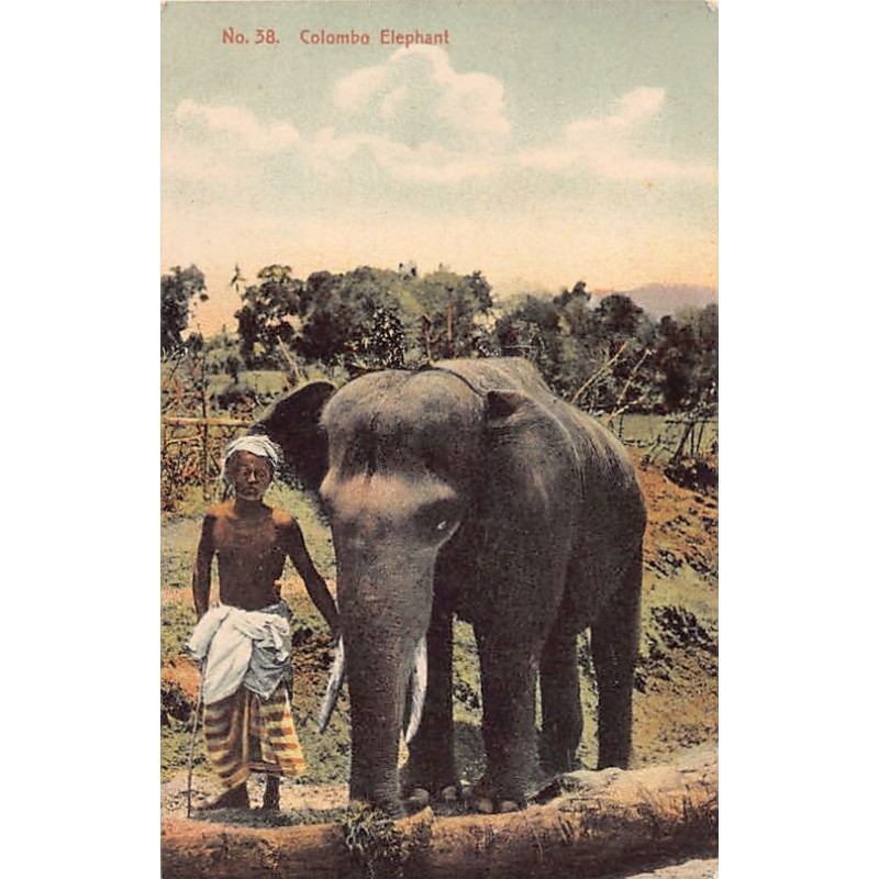 Rare collectable postcards of SRI LANKA. Vintage Postcards of SRI LANKA