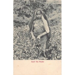 Rare collectable postcards of SRI LANKA. Vintage Postcards of SRI LANKA