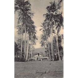 Rare collectable postcards of SRI LANKA. Vintage Postcards of SRI LANKA