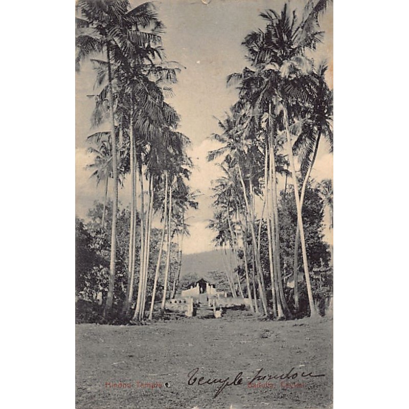 Rare collectable postcards of SRI LANKA. Vintage Postcards of SRI LANKA
