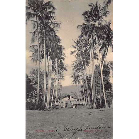 Rare collectable postcards of SRI LANKA. Vintage Postcards of SRI LANKA
