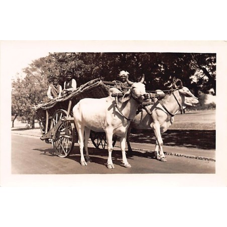 Rare collectable postcards of INDIA. Vintage Postcards of INDIA