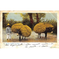 Rare collectable postcards of MEXICO. Vintage Postcards of MEXICO