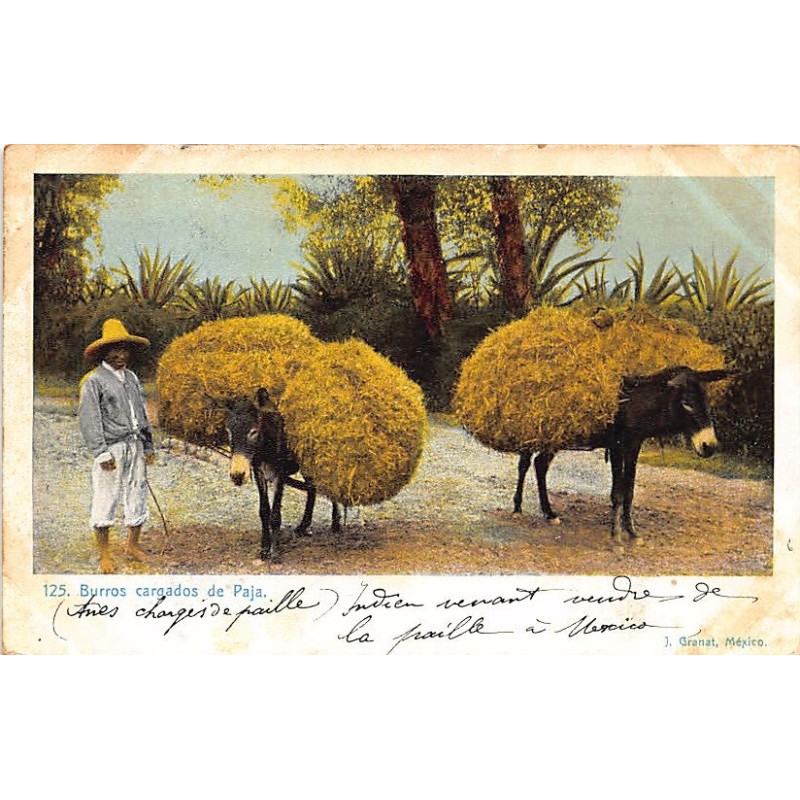 Rare collectable postcards of MEXICO. Vintage Postcards of MEXICO