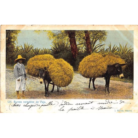 Rare collectable postcards of MEXICO. Vintage Postcards of MEXICO