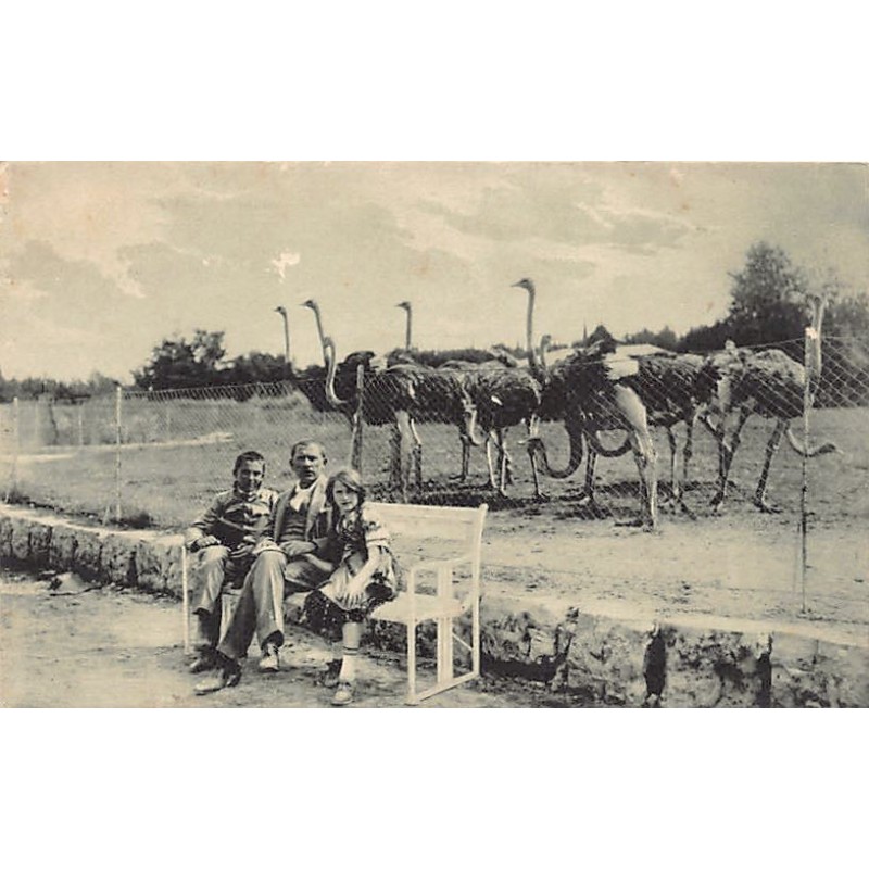 Rare collectable postcards of CROATIA. Vintage Postcards of CROATIA