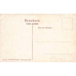 Rare collectable postcards of DENMARK. Vintage Postcards of DENMARK