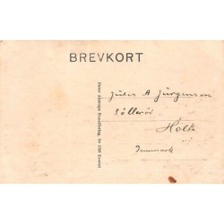 Rare collectable postcards of DENMARK. Vintage Postcards of DENMARK