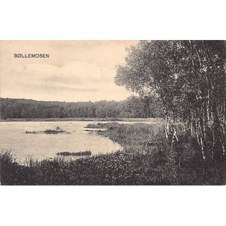 Rare collectable postcards of DENMARK. Vintage Postcards of DENMARK