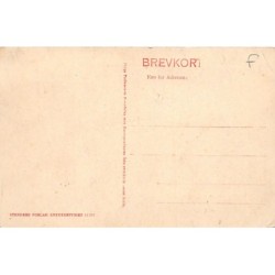 Rare collectable postcards of DENMARK. Vintage Postcards of DENMARK