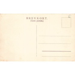 Rare collectable postcards of DENMARK. Vintage Postcards of DENMARK