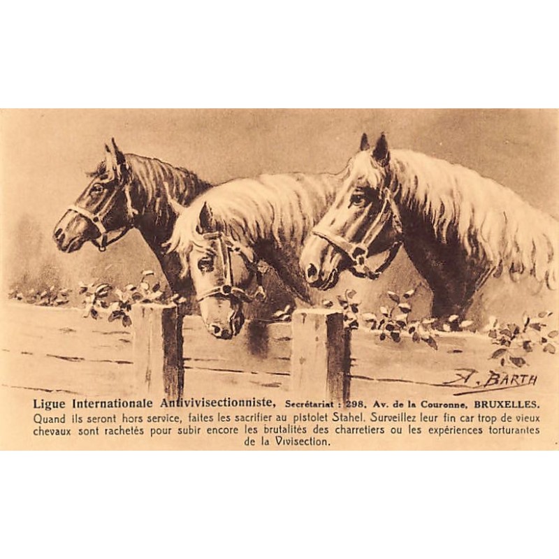 Rare collectable postcards of LATVIA. Vintage Postcards of LATVIA