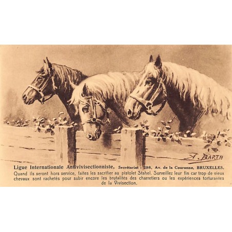 Rare collectable postcards of LATVIA. Vintage Postcards of LATVIA