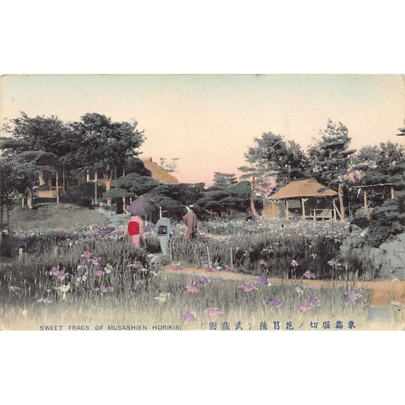 Rare collectable postcards of JAPAN. Vintage Postcards of JAPAN
