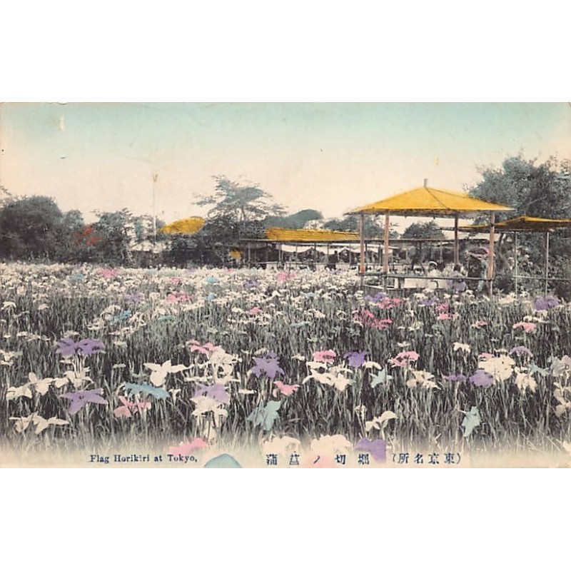 Rare collectable postcards of JAPAN. Vintage Postcards of JAPAN