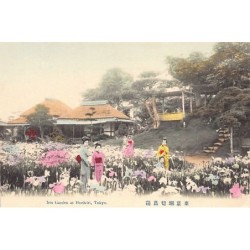 Rare collectable postcards of JAPAN. Vintage Postcards of JAPAN