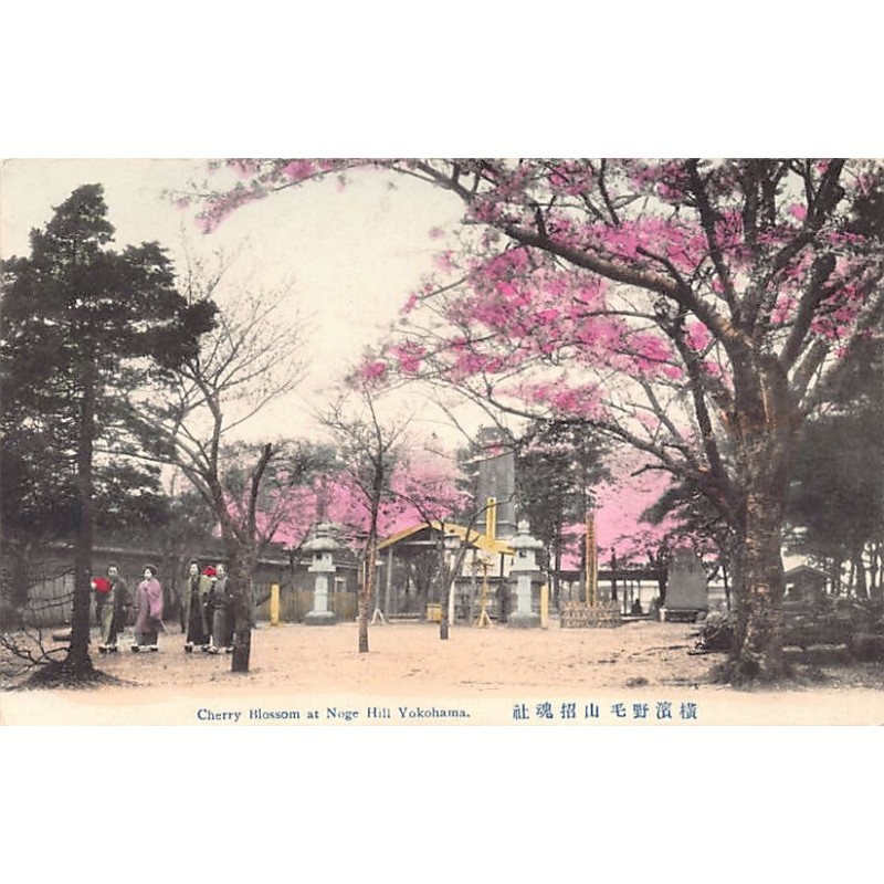 Rare collectable postcards of JAPAN. Vintage Postcards of JAPAN