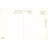 Rare collectable postcards of JAPAN. Vintage Postcards of JAPAN