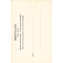 Rare collectable postcards of INDONESIA. Vintage Postcards of INDONESIA