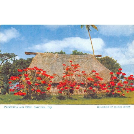 Fiji - SIGATOKA - Poinsettia and Bure - Publ. Charles Stinson 22
