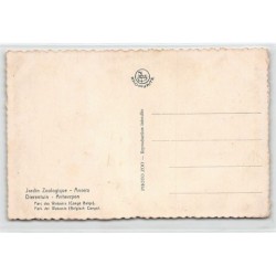 Rare collectable postcards of RUANDA URUNDI. Vintage Postcards of RUANDA URUNDI