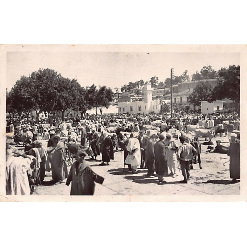 Rare collectable postcards of LATVIA. Vintage Postcards of LATVIA