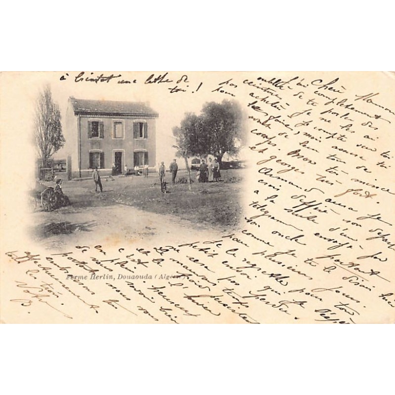 Rare collectable postcards of LATVIA. Vintage Postcards of LATVIA