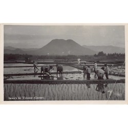 Rare collectable postcards of INDONESIA. Vintage Postcards of INDONESIA