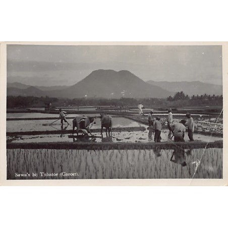 Rare collectable postcards of INDONESIA. Vintage Postcards of INDONESIA