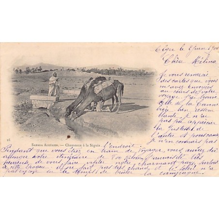 Rare collectable postcards of LATVIA. Vintage Postcards of LATVIA