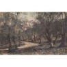Rare collectable postcards of LATVIA. Vintage Postcards of LATVIA
