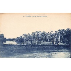 Rare collectable postcards of LATVIA. Vintage Postcards of LATVIA