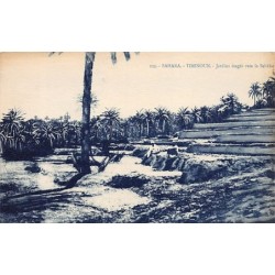 Rare collectable postcards of LATVIA. Vintage Postcards of LATVIA