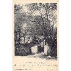 Rare collectable postcards of LATVIA. Vintage Postcards of LATVIA