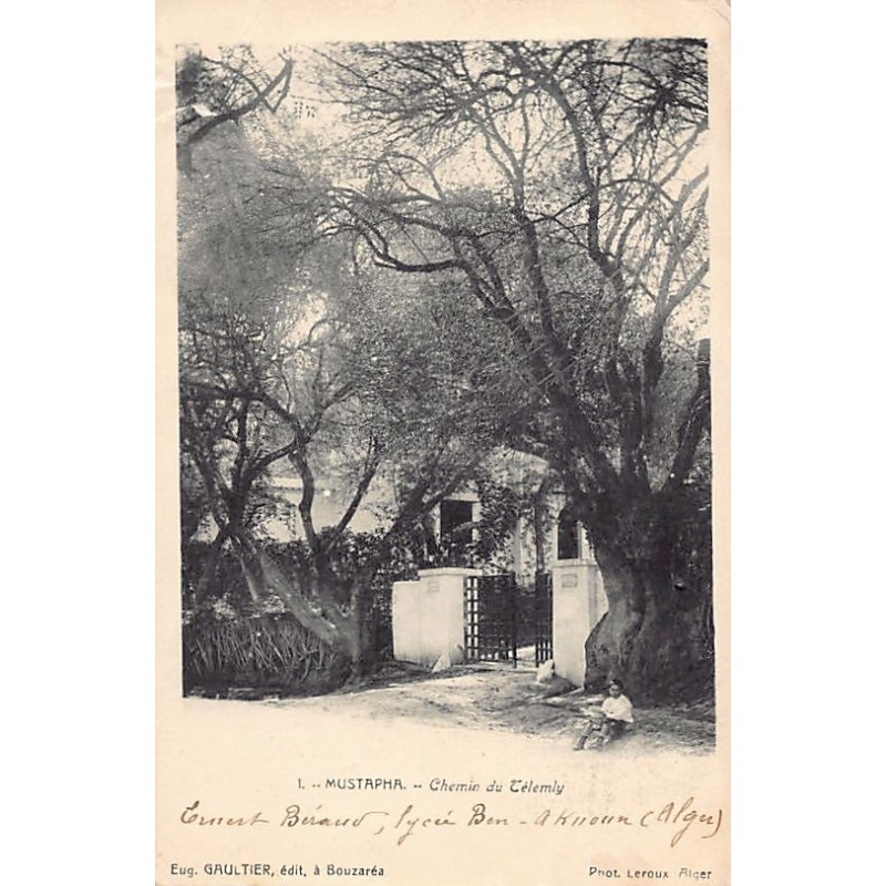 Rare collectable postcards of LATVIA. Vintage Postcards of LATVIA