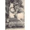 Rare collectable postcards of LATVIA. Vintage Postcards of LATVIA