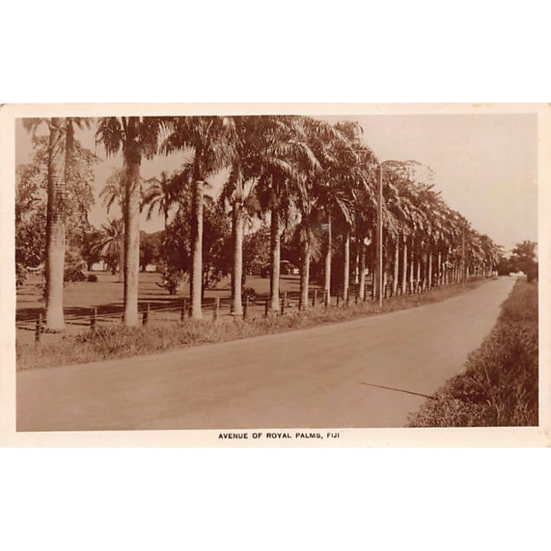 Fiji - SUVA - Avenue of Royal Palms - Publ. unknown