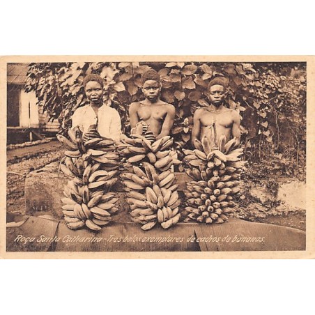 Rare collectable postcards of SAO TOME & PRINCIPE. Vintage Postcards of SAO TOME & PRINCIPE