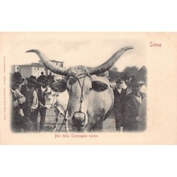 Rare collectable postcards of ITALIA Italy. Vintage Postcards of ITALIA Italy