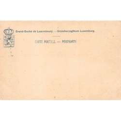 Rare collectable postcards of LUXEMBOURG. Vintage Postcards of LUXEMBOURG